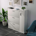 Modern shoes cabinet with door